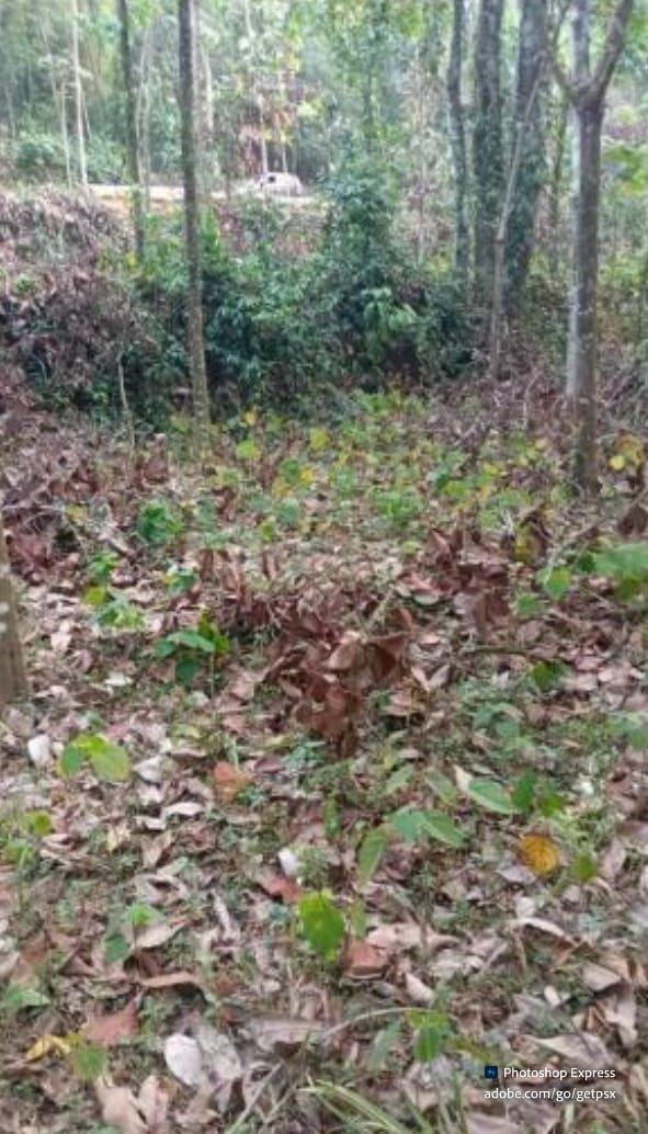 Kozhikode Pooladikunnu  Land For Sale