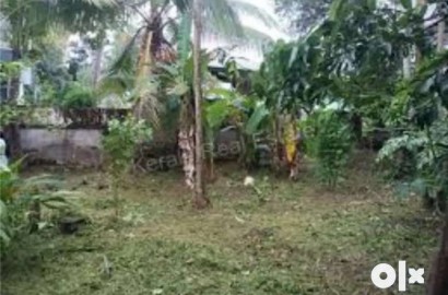 8.12 CENT LAND FOR  SALE IN KALLAI