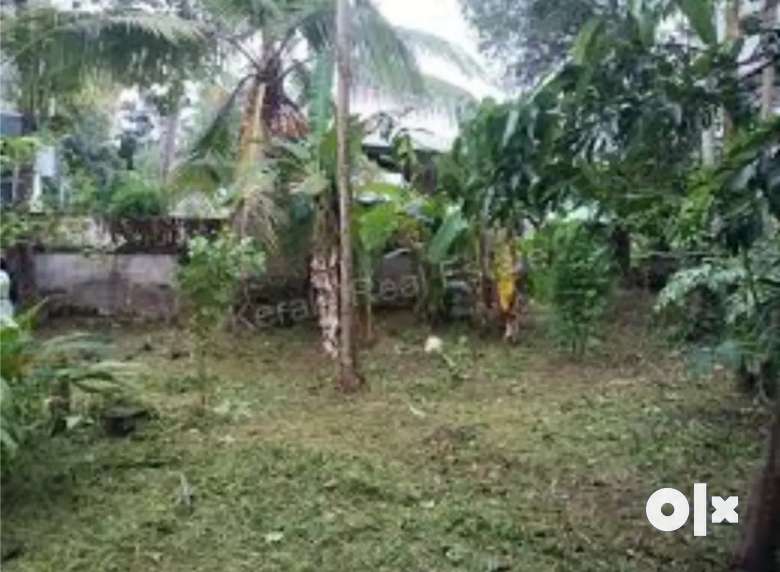 8.12 CENT LAND FOR  SALE IN KALLAI