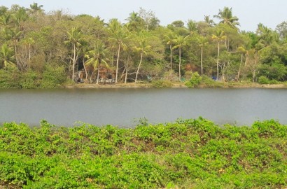 Land For Sale  Mulavukad