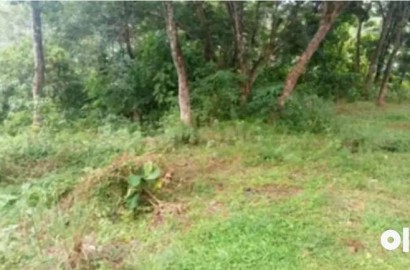 LAND FOR SALE IN MATHOTTAM ( BEYPORE )